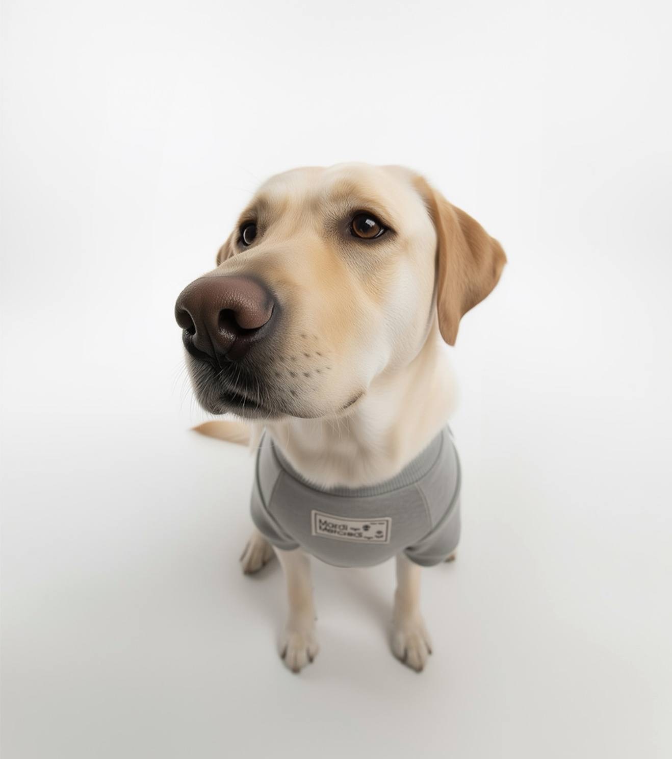 image_D2D35CD9-0786-4A72-B93F-555AF580DFB7_1765463008