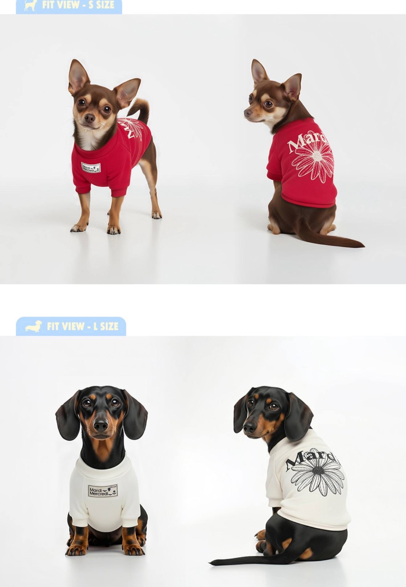 image_6F9C556B-5105-4933-8609-23422503846F_1765463008