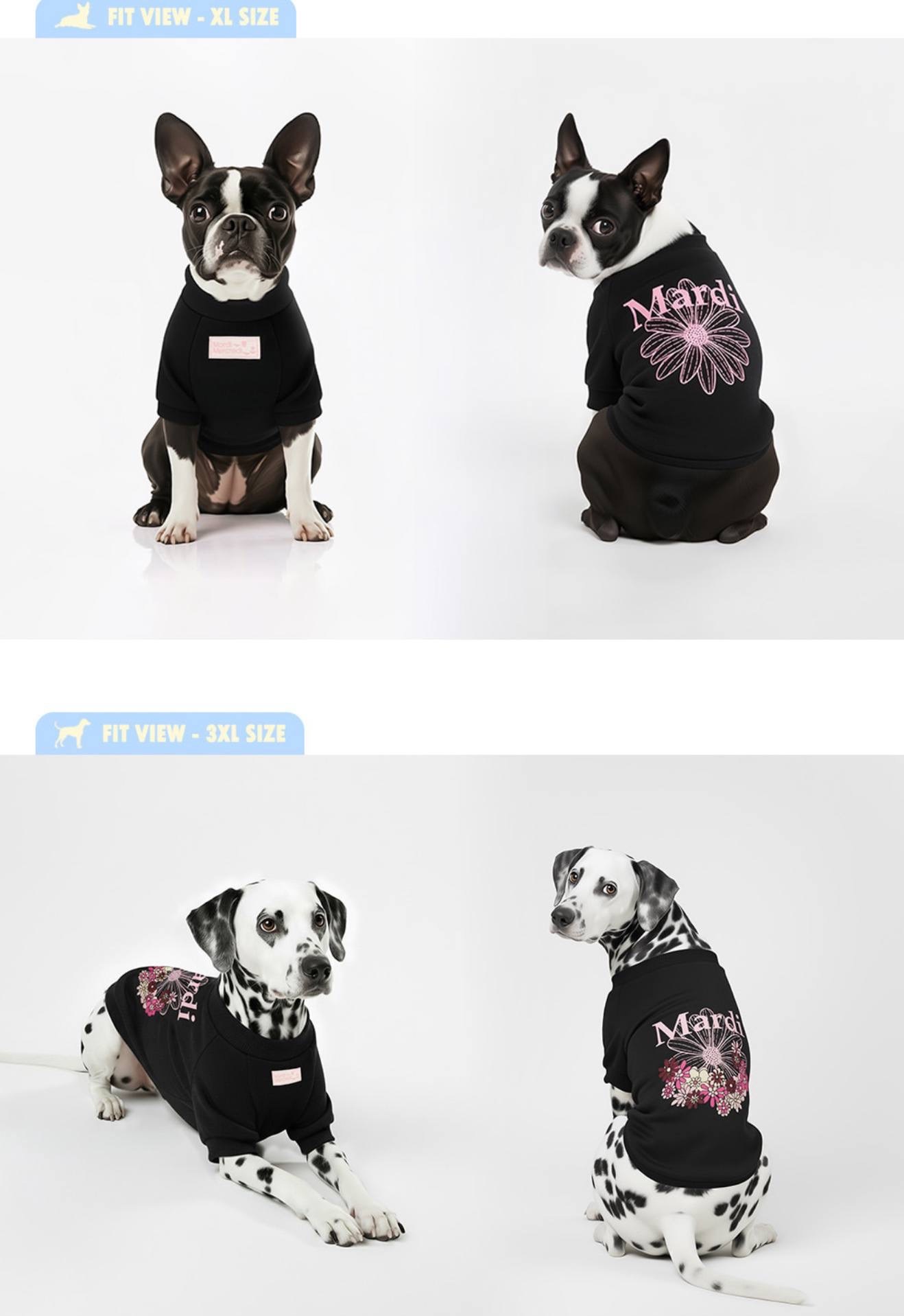 image_546271D9-DD12-42B9-905E-FFE674C5E73B_1765463008