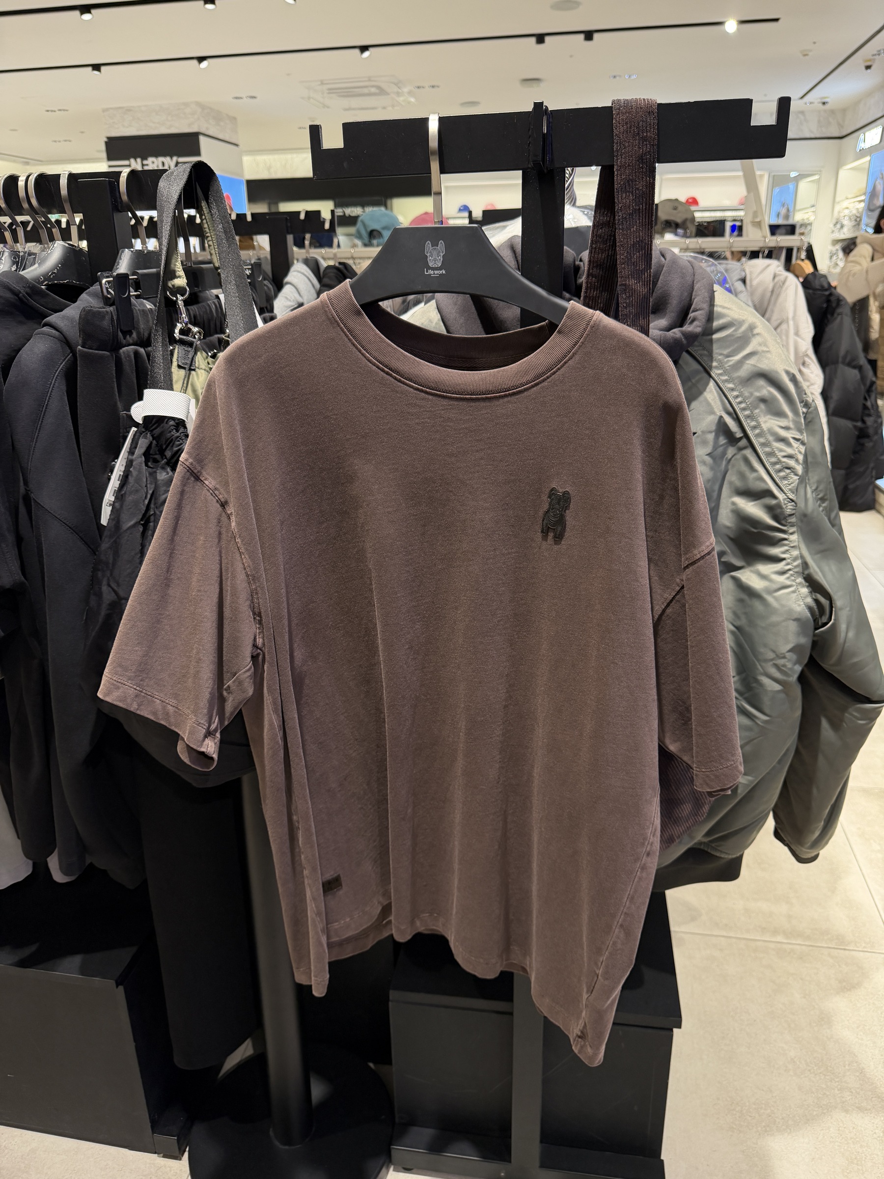 image_84A85DFA-2664-4AB0-B6D0-2CE6B071AE13_1765534381