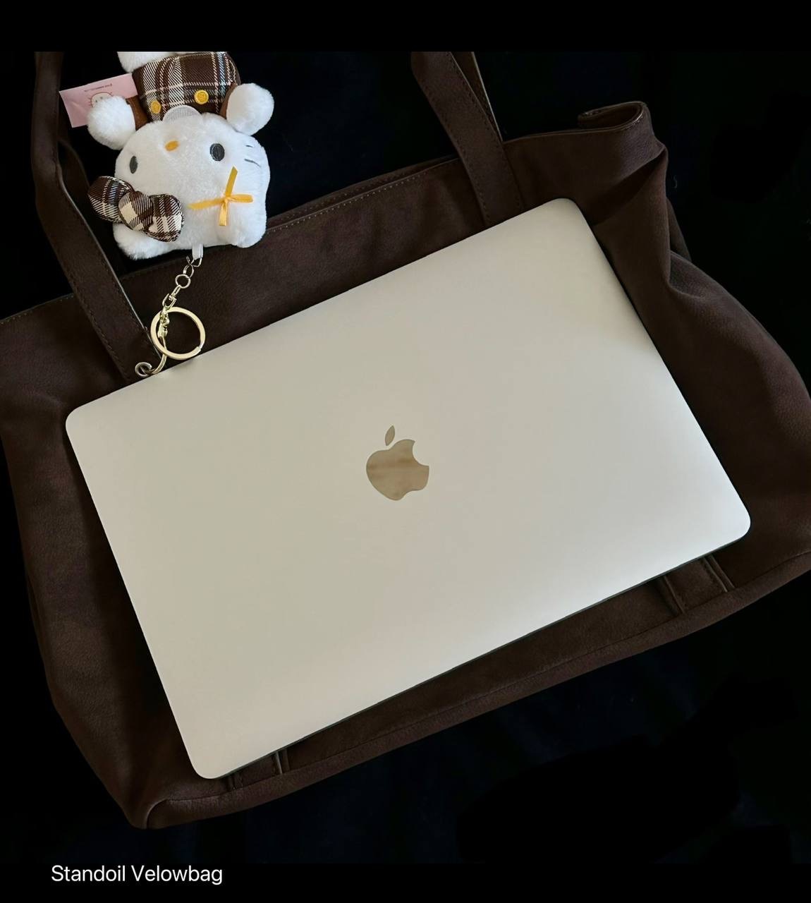 image_ABFF231C-CD07-48F4-B1F7-B9E5F4F2C917_1765548473