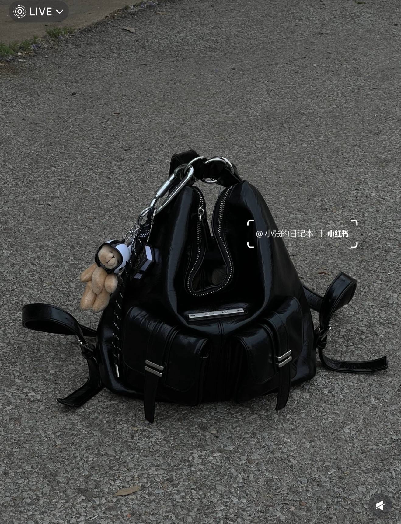 image_50825F07-3299-4B91-8E2F-2CDE1A083F01_1765549106