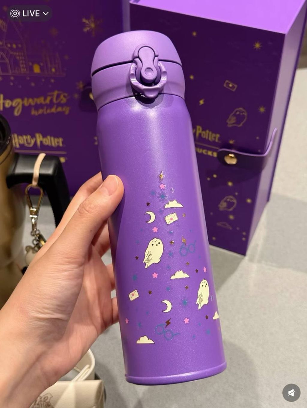 image_2D2A4DA0-3249-468B-987B-7D041FE4C3E3_1766813893