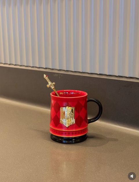 image_9C311E3A-AE3B-4743-8448-06D2EA60B490_1766813964