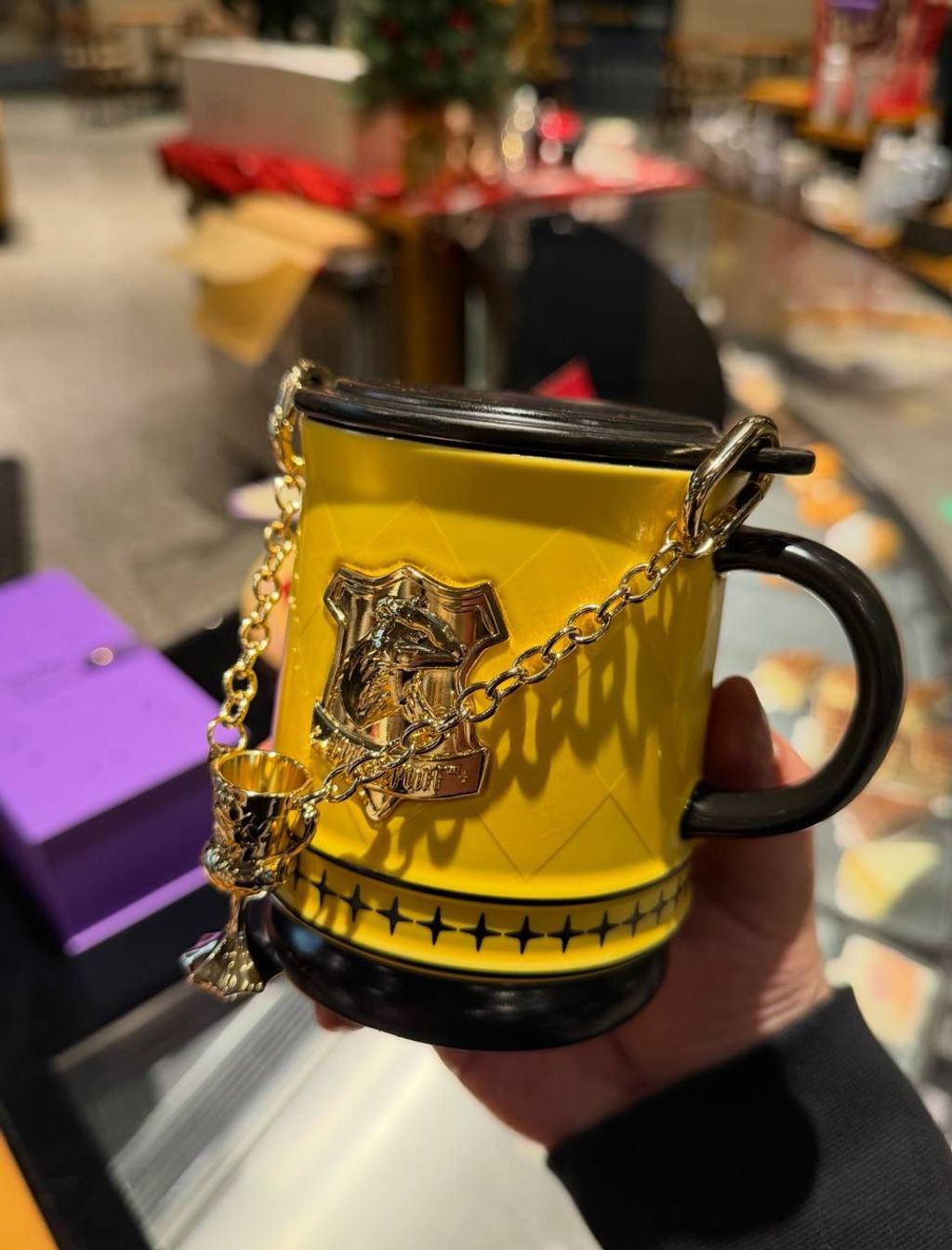 image_8589B70F-B56F-46A8-843E-0929B70EC519_1766813964