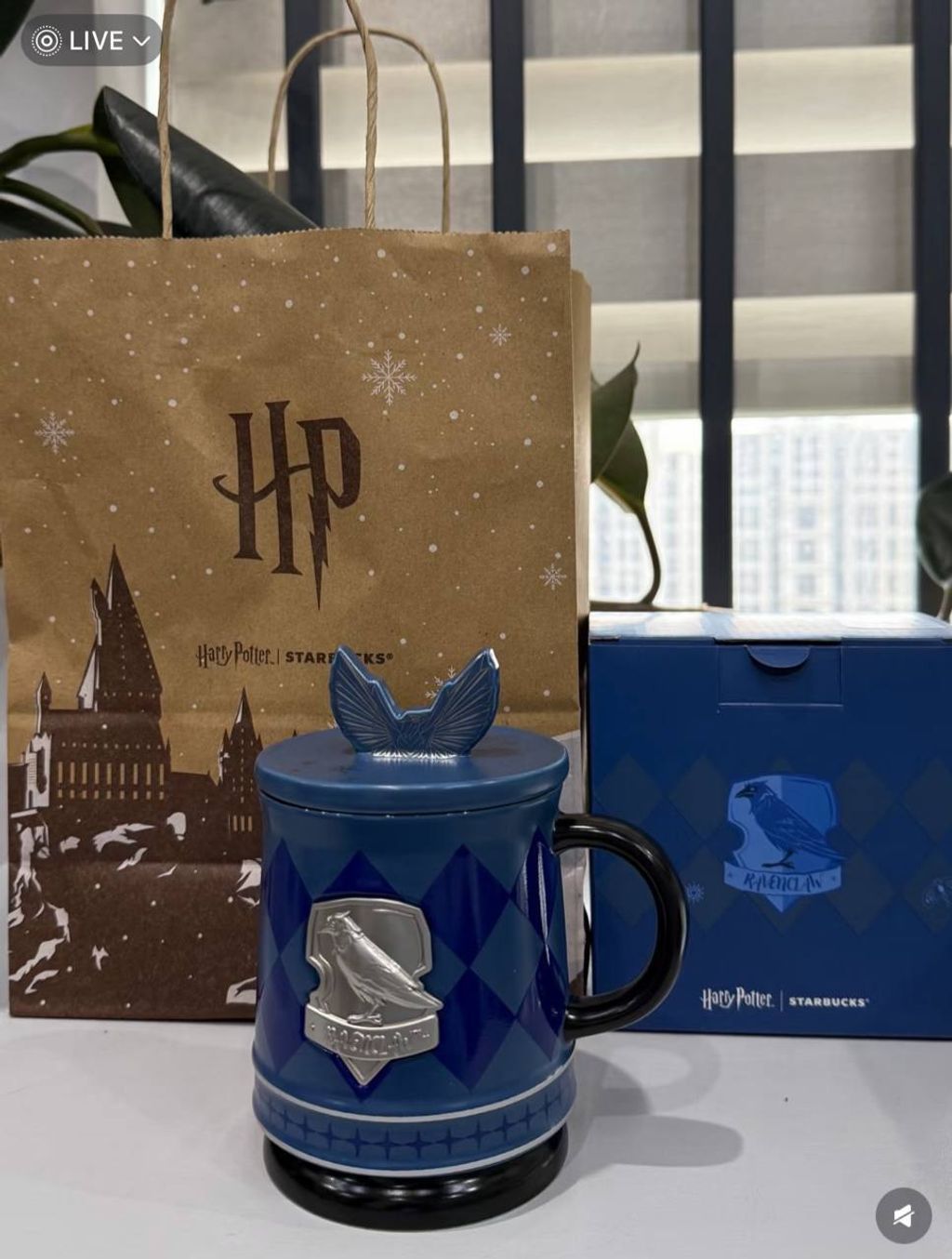 image_30F4CFDA-D4E7-406A-9E88-4D01F9CE4999_1766813964