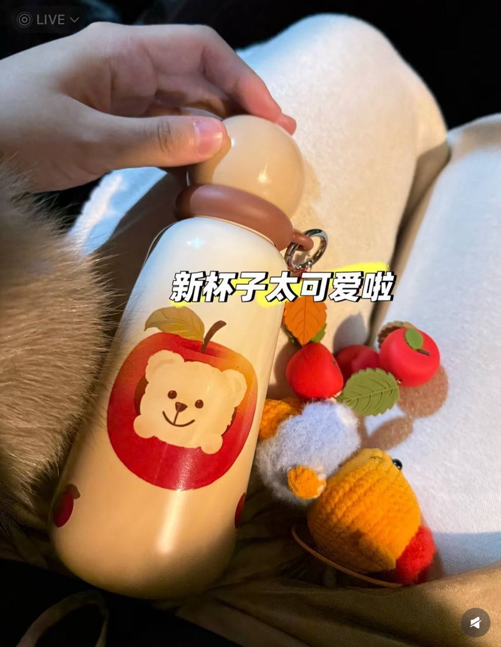 image_2A61EDC2-354E-4A53-B98E-A0F3E973287E_1766834812