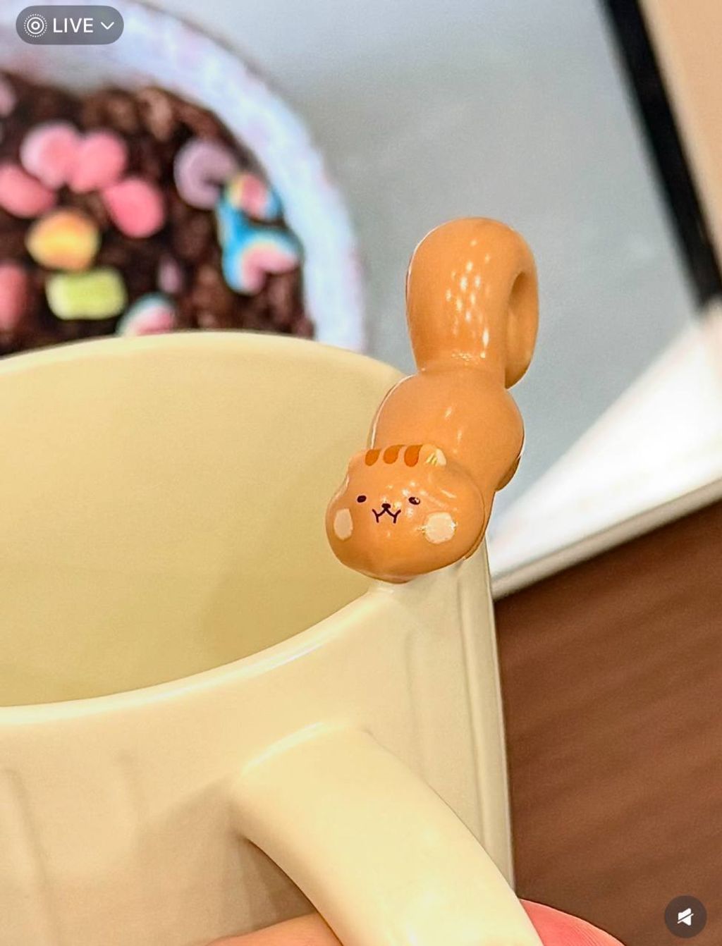 image_8A4E5494-746E-4E4B-883A-7E15F9FE8419_1766834850