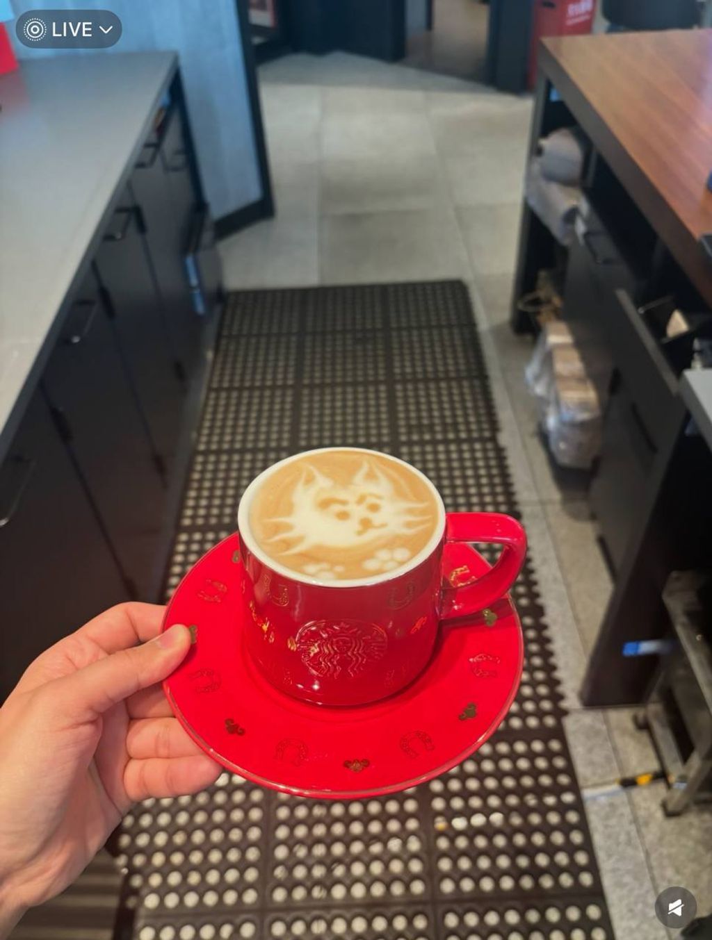 image_7292A3F3-55FF-47C9-84B1-1ADFFF9C0137_1767015059