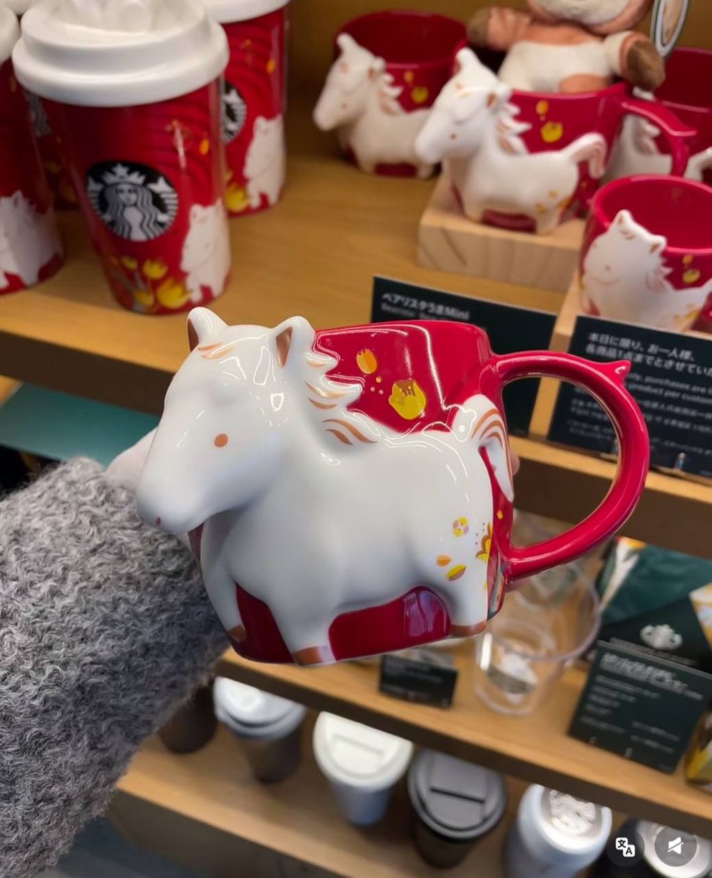 image_671058EE-5D2C-4E49-B792-476B93D2A5CE_1767015199