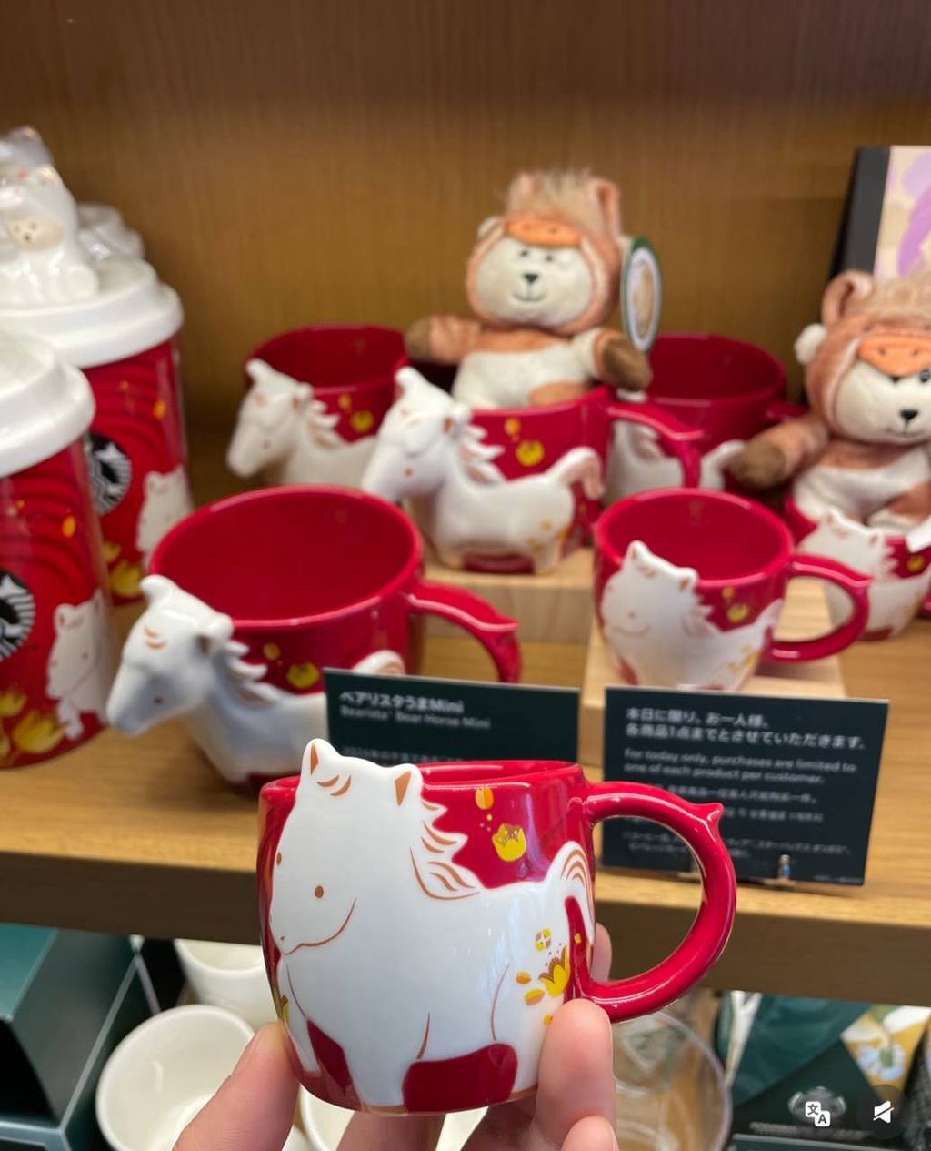 image_5BB1B8EF-A814-47AD-81A0-1F3702B122FD_1767015199