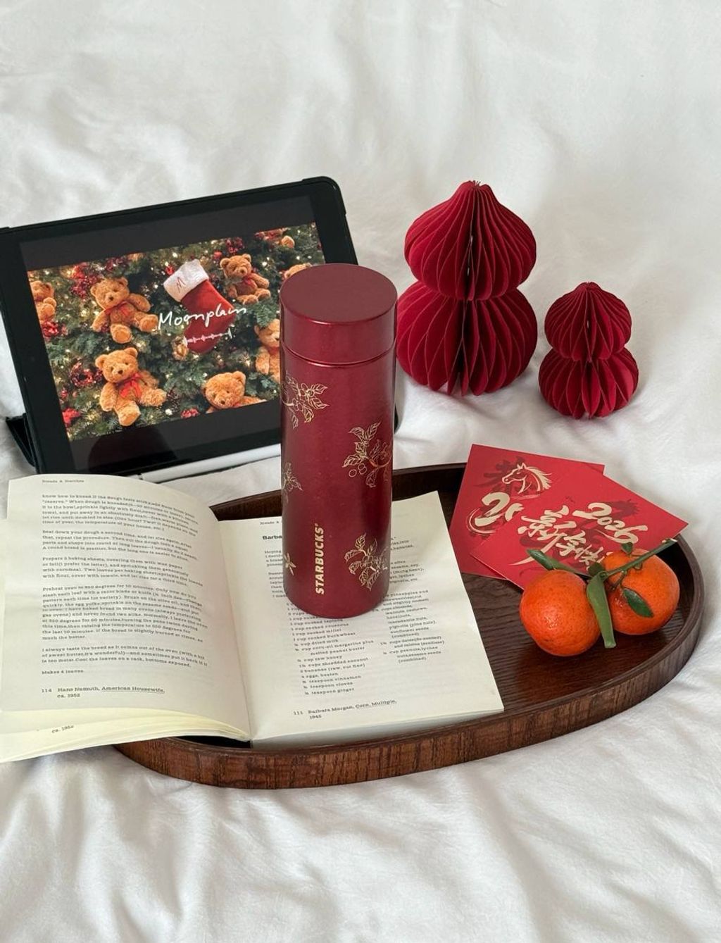 image_3BA60C47-AB71-4B1A-A8E8-F0C66DFEDE6F_1767015463