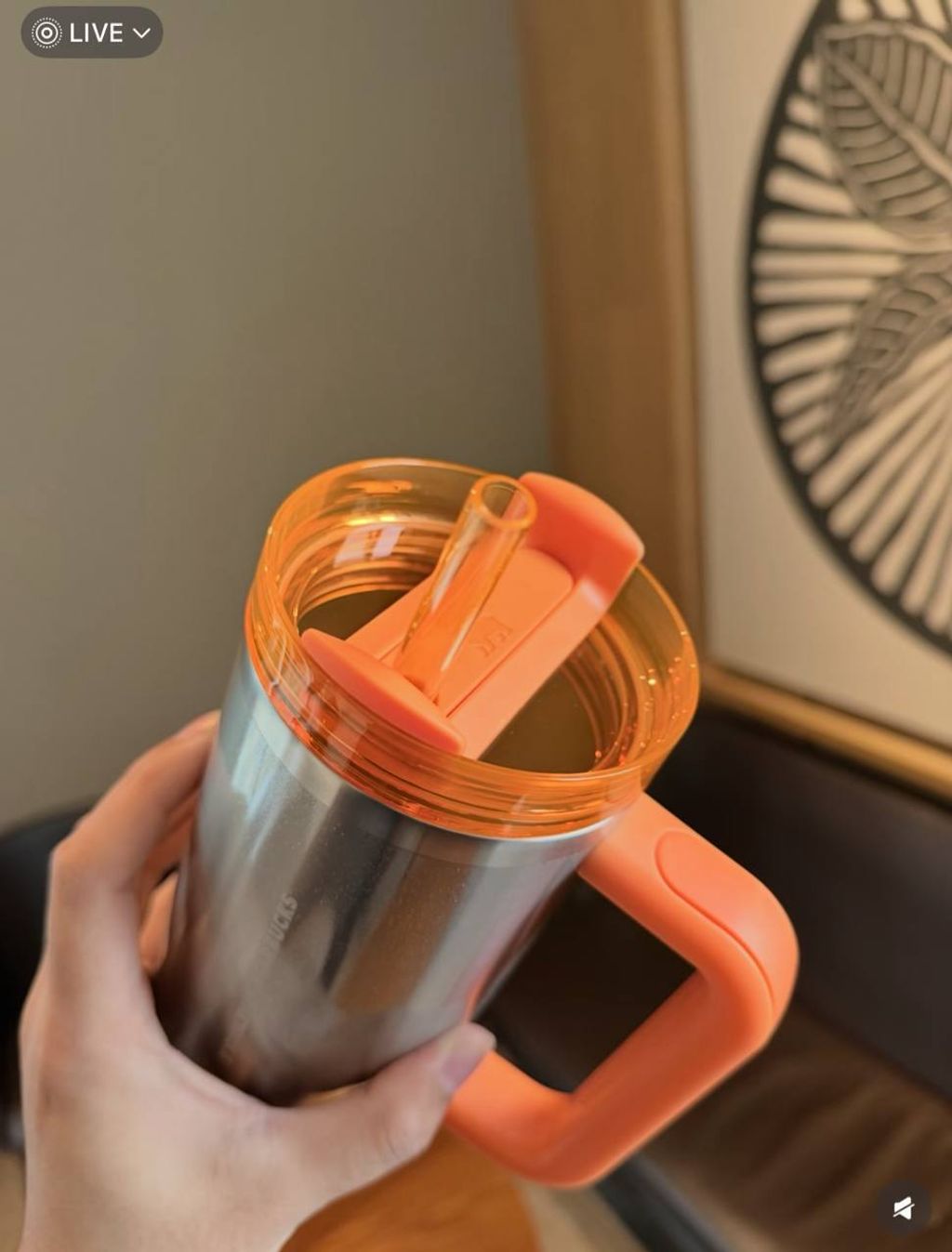 image_D808FD9A-A695-47BF-A6DE-4513572CFB09_1767015616