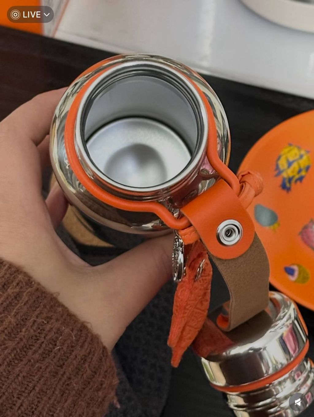 image_F1D41F67-11A1-479B-AFB9-8C1007067B3E_1767015661