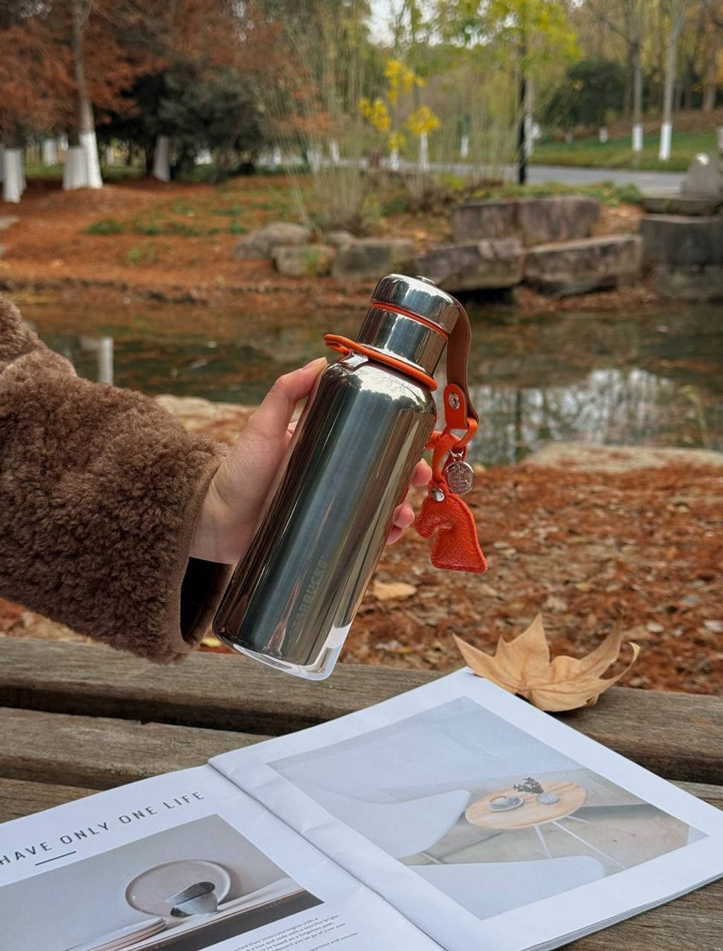 image_527FE38C-9A67-4927-A8E7-EB89CF859A5A_1767015661