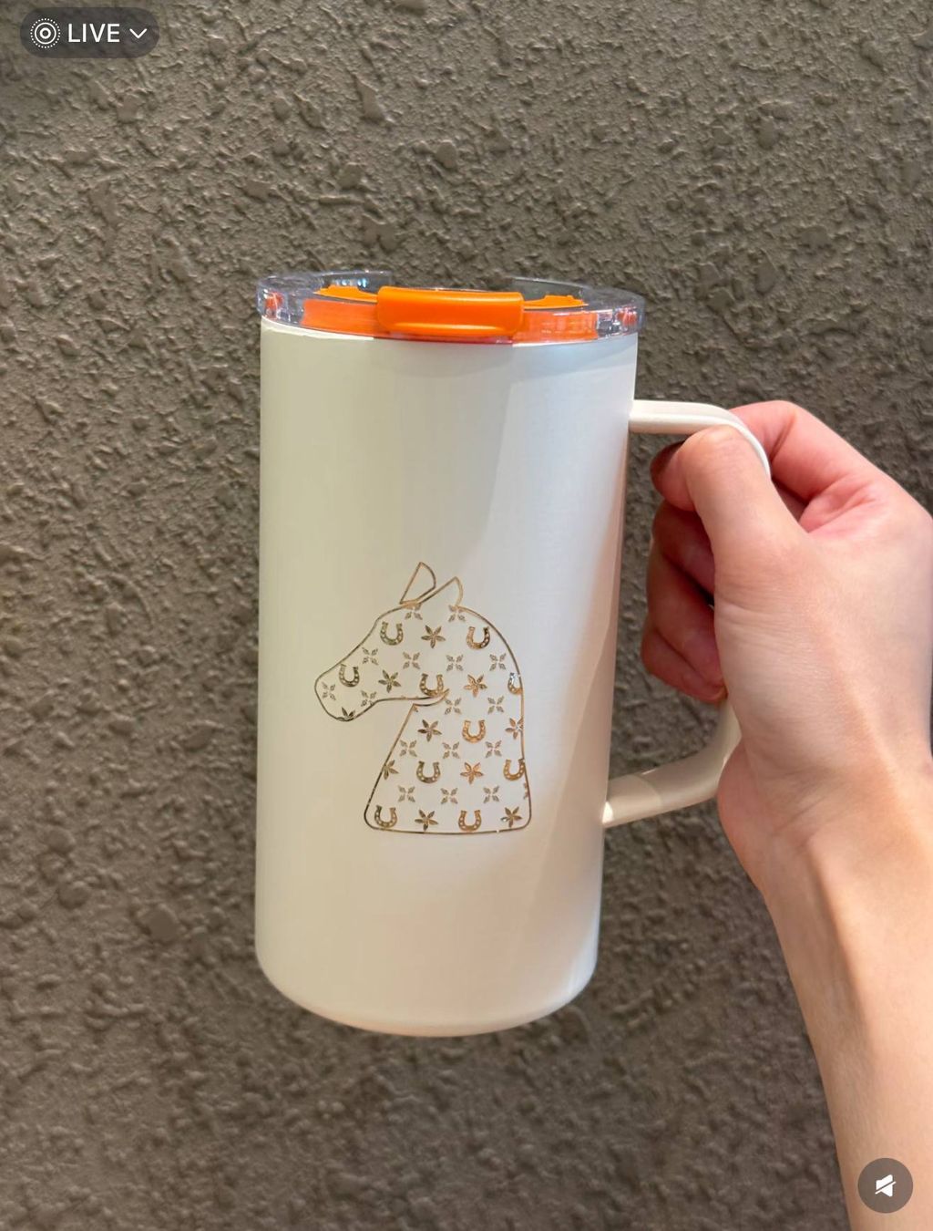 image_22C4268A-4FDE-4883-9D04-5A1459DB3EBE_1767015801