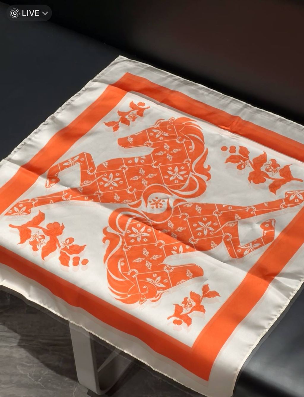 image_ED48EC50-BD95-408A-AD26-2E1AFD357AD5_1767015854