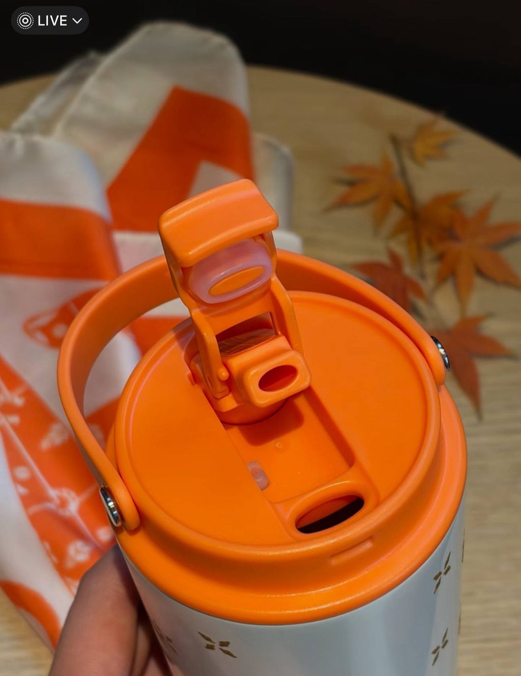 image_E4A664F1-6093-45FB-982D-05F0E29644CE_1767015854