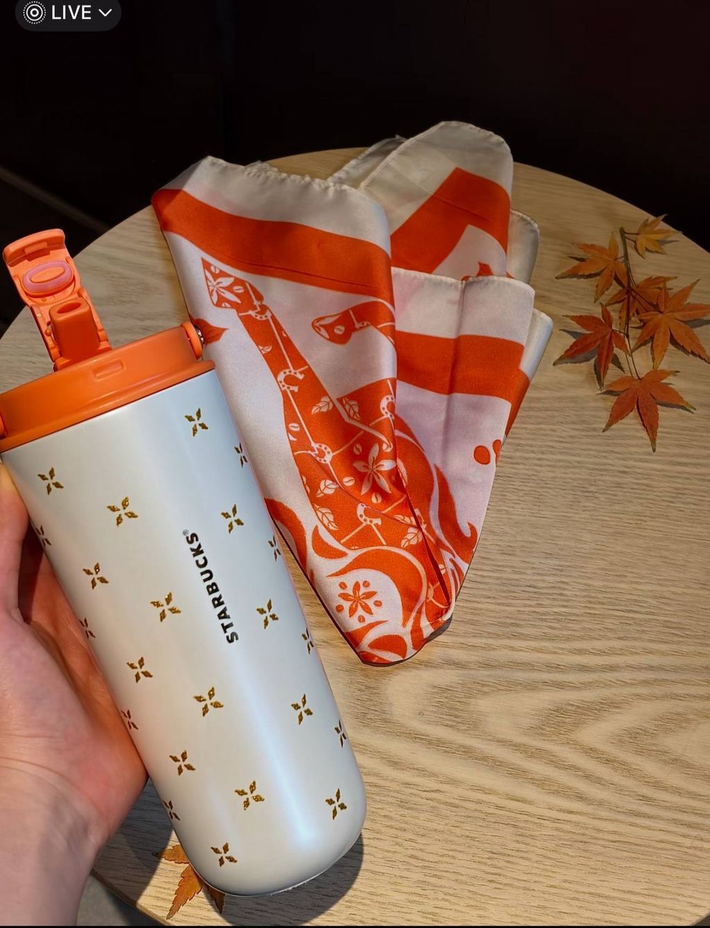 image_1F333436-CD4D-4CBF-9C01-F8C3833B5AC2_1767015854