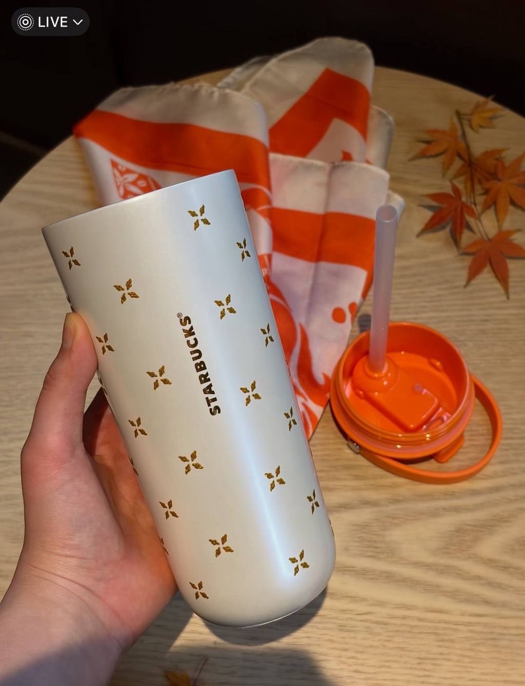 image_D4435CFD-ED4C-4539-A5D8-52AFE2E0A78D_1767015854