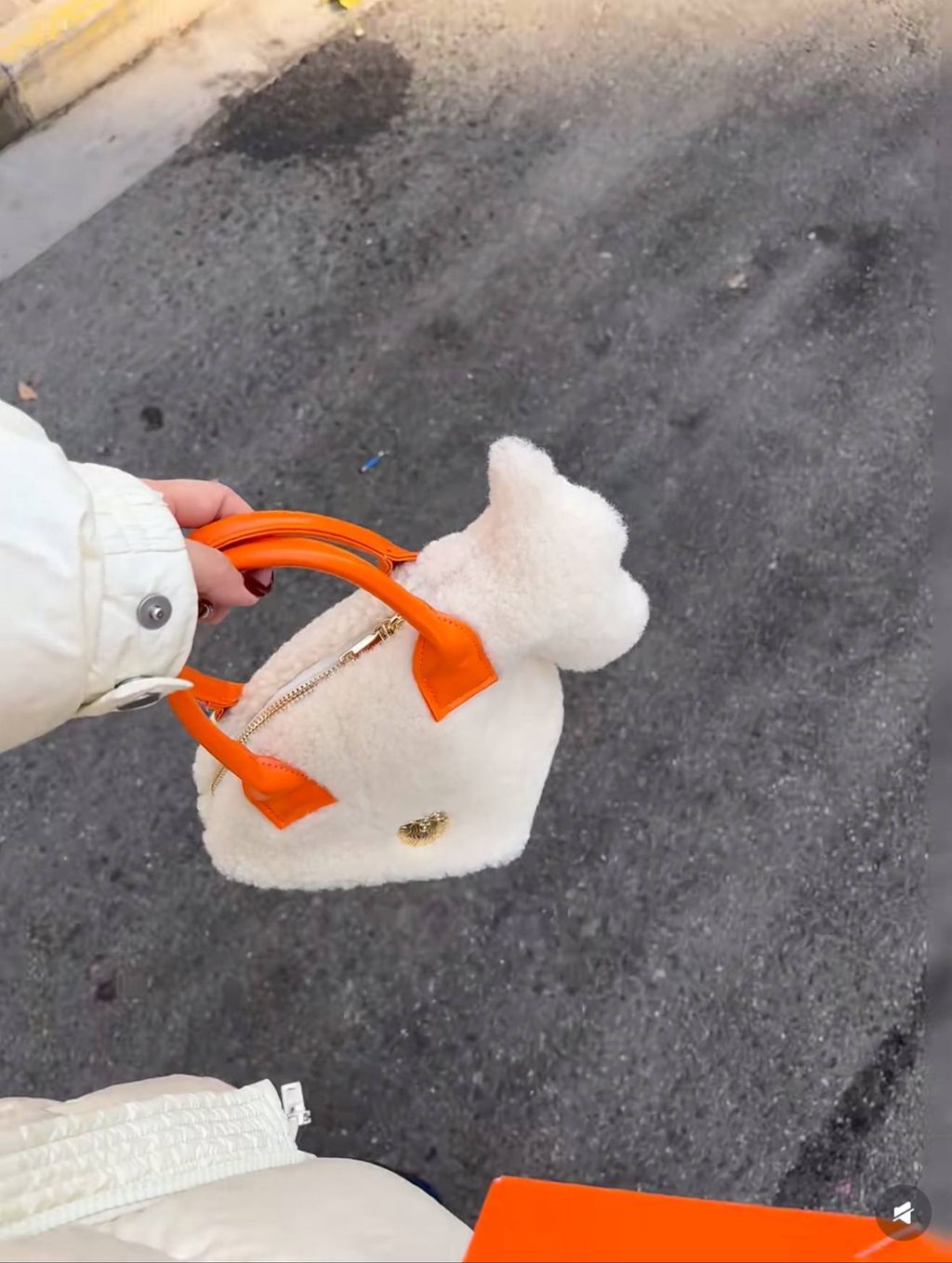 image_2120237E-DAE4-43ED-8030-F0F3043F5D3B_1767015915