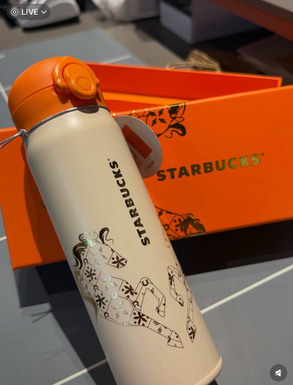 image_4944C486-F56F-4BA8-9FE0-6A623F86162F_1767015966