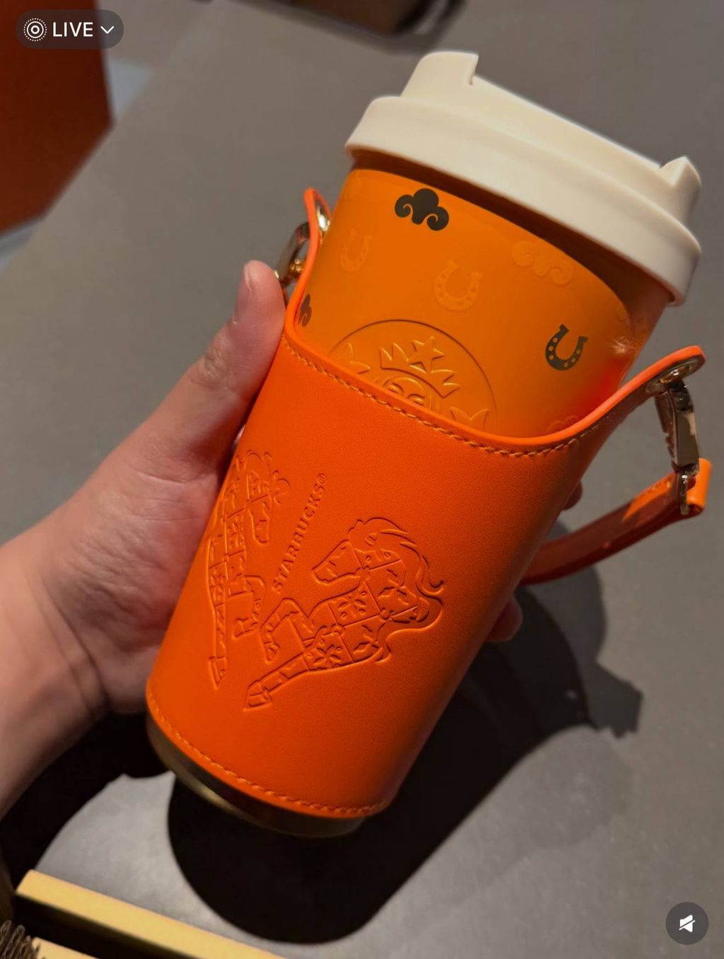 image_78BBC338-0122-447D-A783-CF54A24EA0FD_1767016019