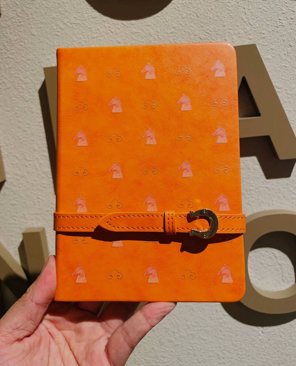 image_DBDF27BF-BC69-4F5F-A406-DA0CC8450648_1767016075