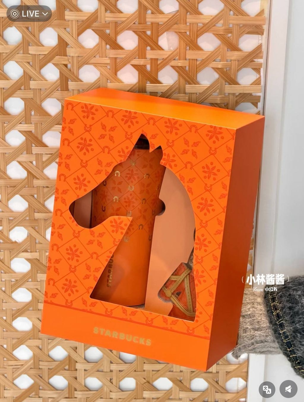 image_E23625DF-3E1F-4D2E-9DA7-02FB3456397C_1767016151