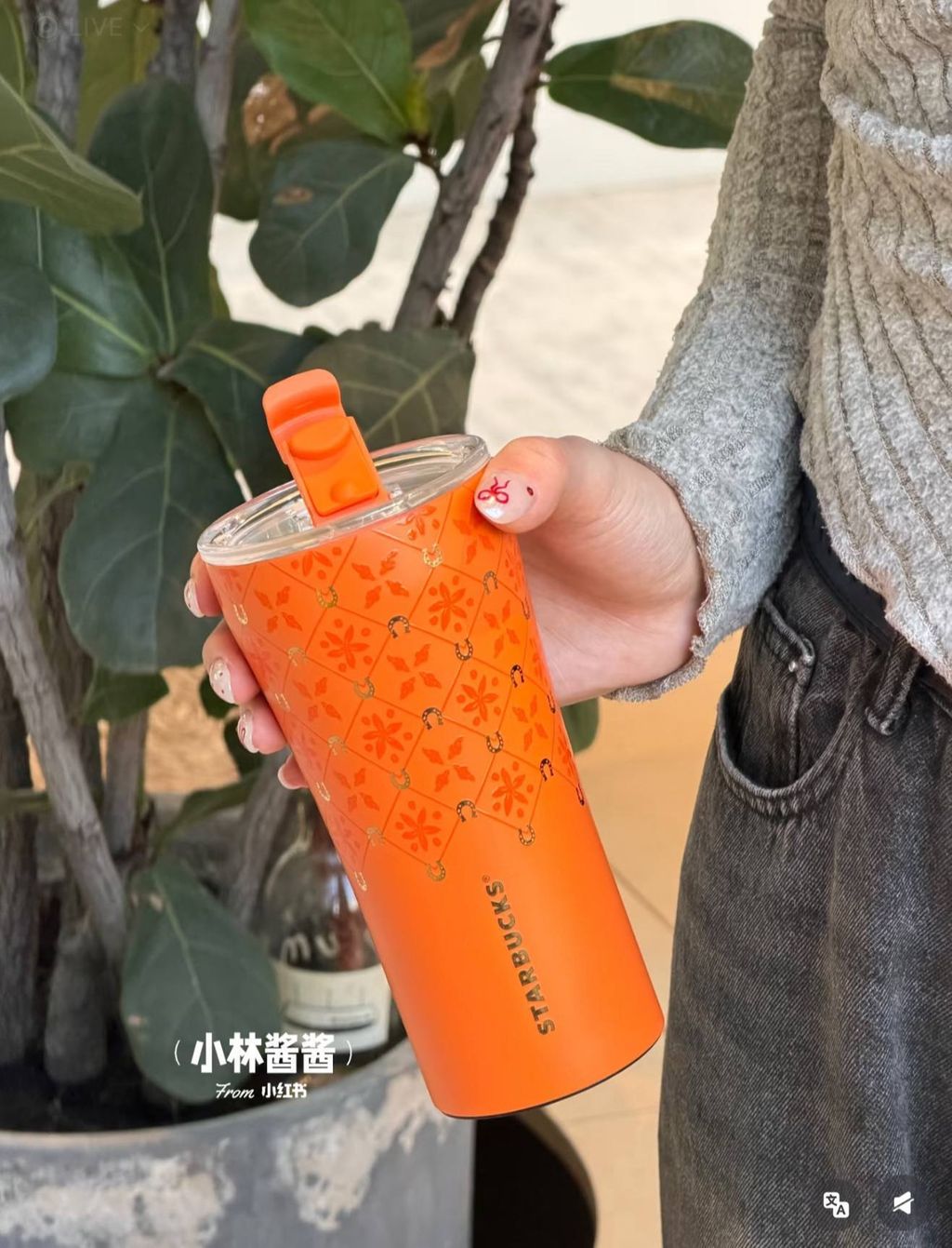 image_BFDD017C-A2AC-460D-8D21-F849DB80CF59_1767016151