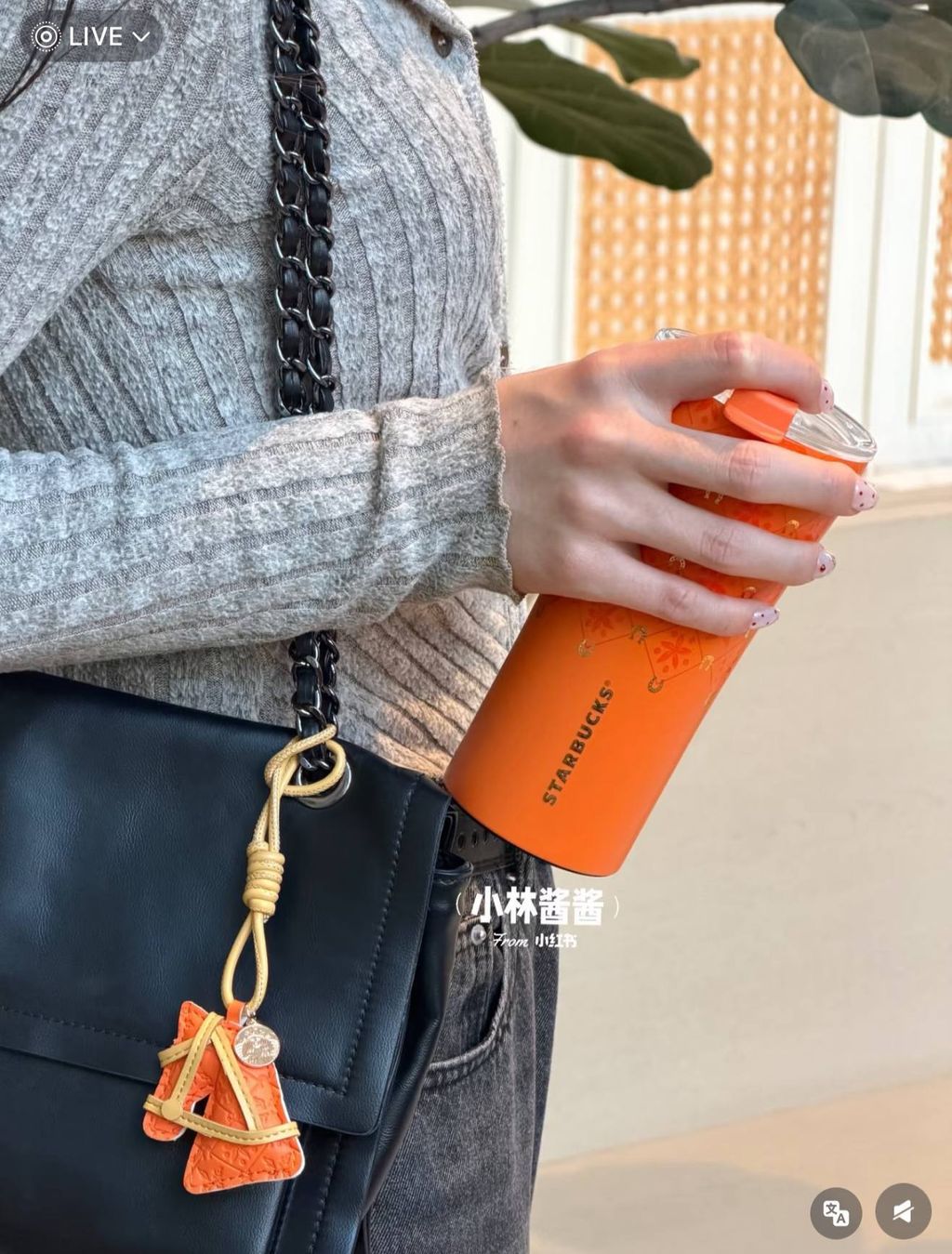 image_54F0D154-EC02-4FF8-A70E-BC63E2B5C54F_1767016151