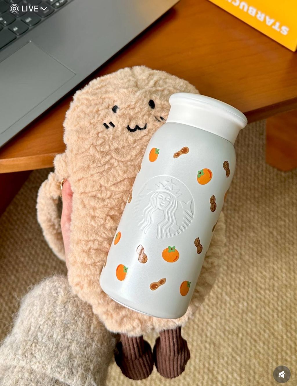 image_2AEBBF00-A385-4B50-8CD2-33E0B1906ED8_1767016212