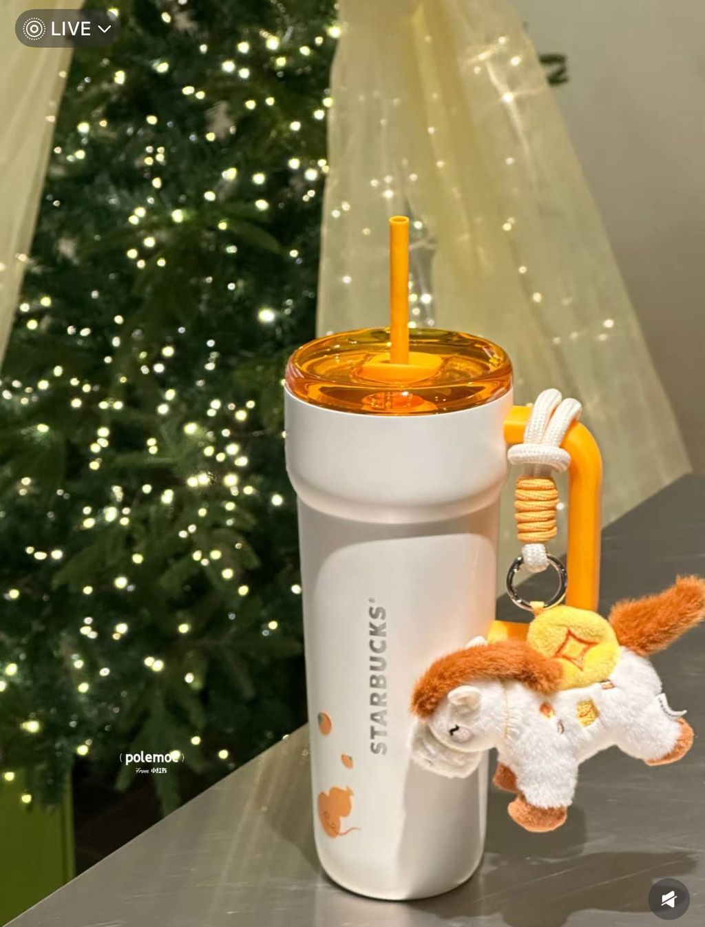 image_AEB6F4AE-1439-4C85-9066-0042E86FF9F5_1767016280