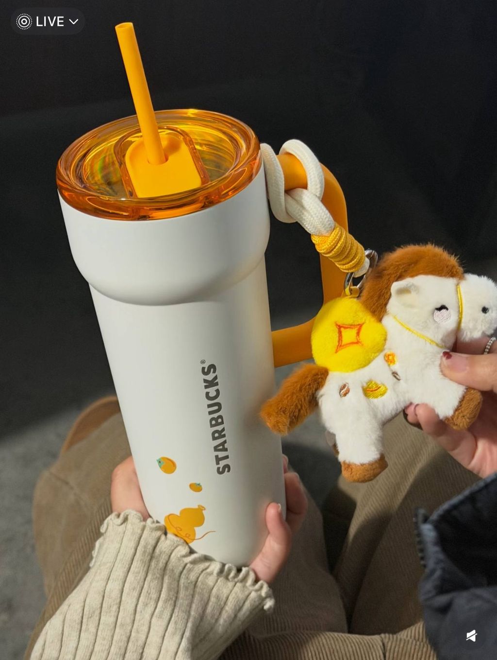 image_048098E0-6320-4204-95DC-5F9F4E938944_1767016280