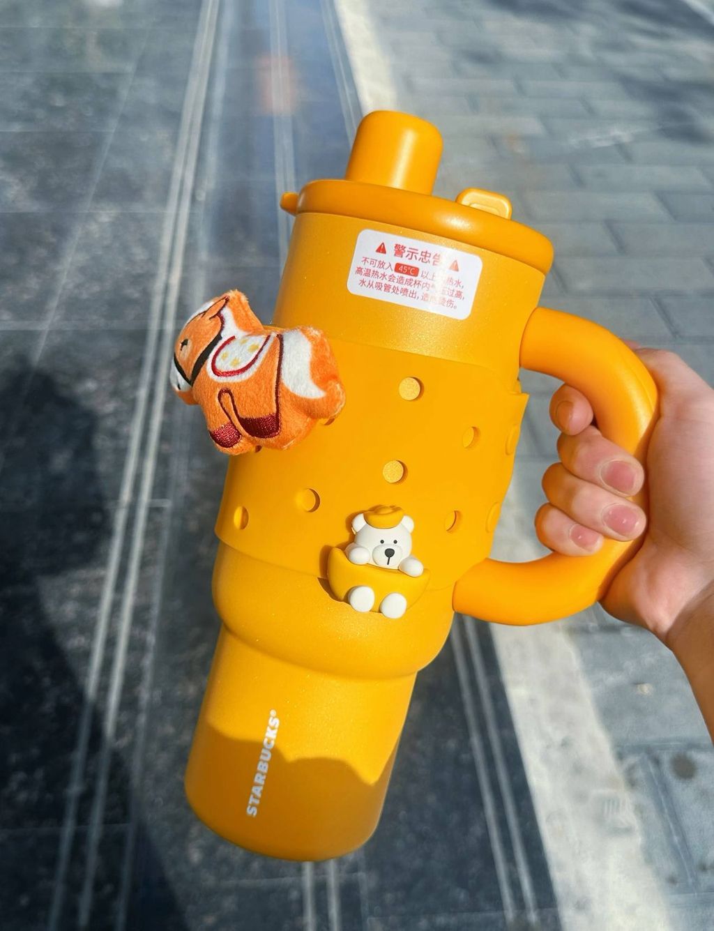 image_3632E5A5-FB33-46BF-93C8-9040C3C2B41B_1767016382