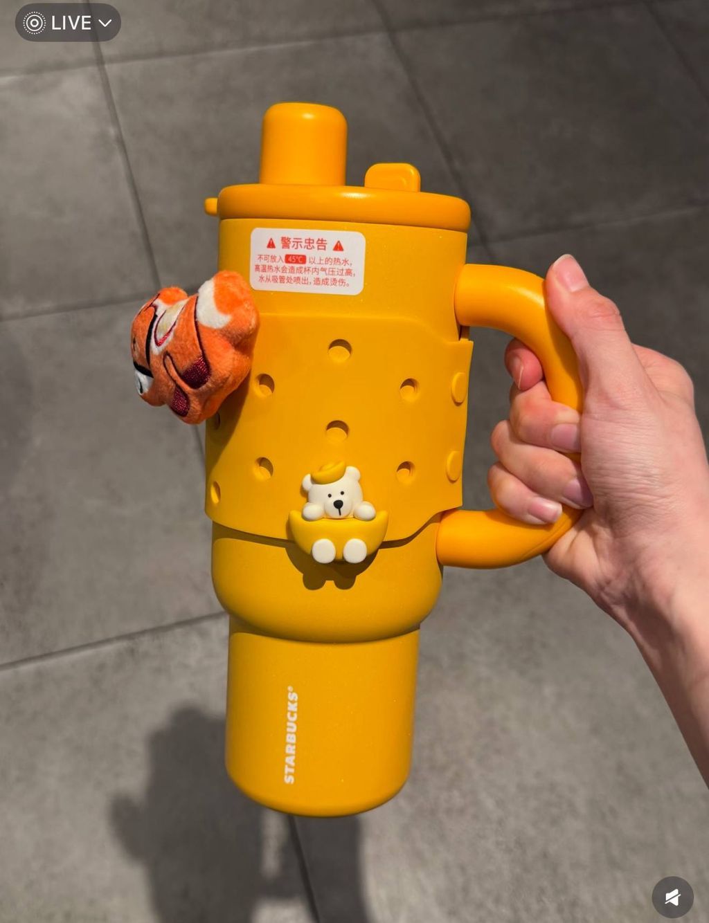 image_2F4D92D0-C322-4856-9EEB-A6B29D48B399_1767016382