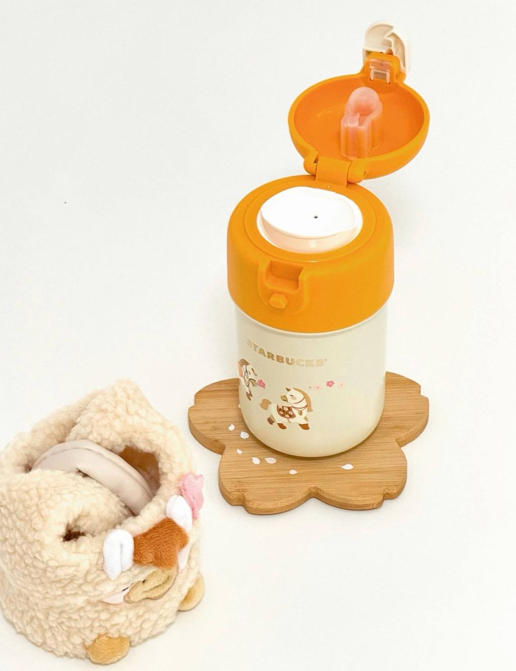 image_E6D55B56-8BC4-4931-8728-C56B13B5F4A4_1767589029