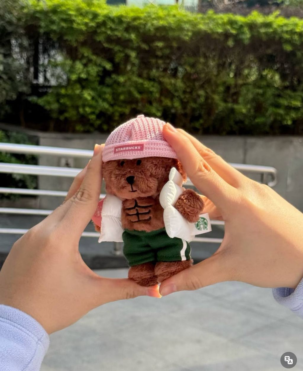 image_A341AADB-4732-4CE2-B9C7-6D627E79B0B7_1767589181