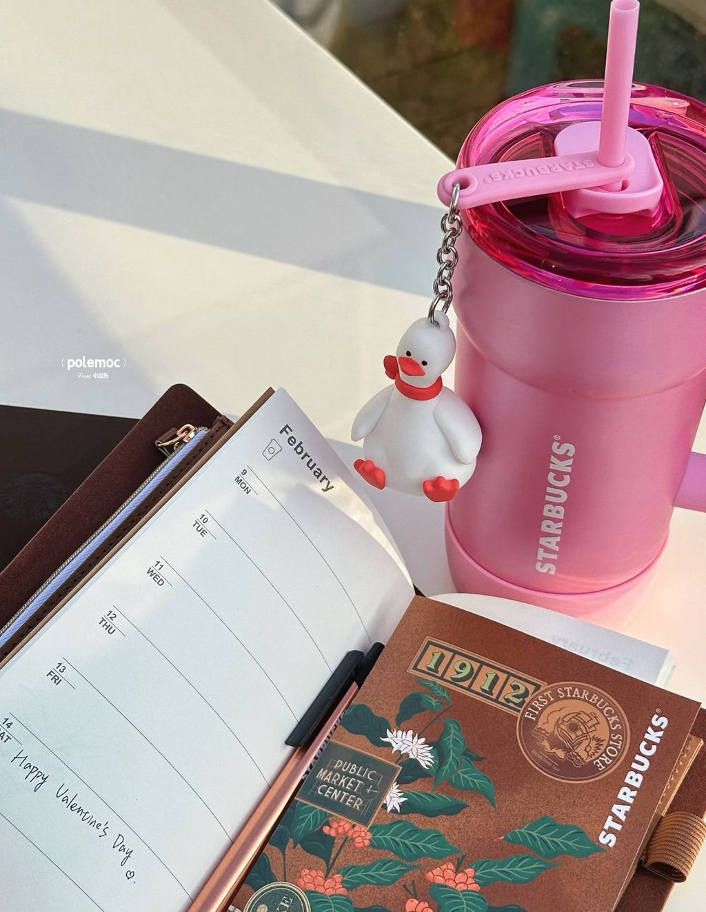 image_43F98104-68F3-4830-8703-FC37F1179ED8_1767589304