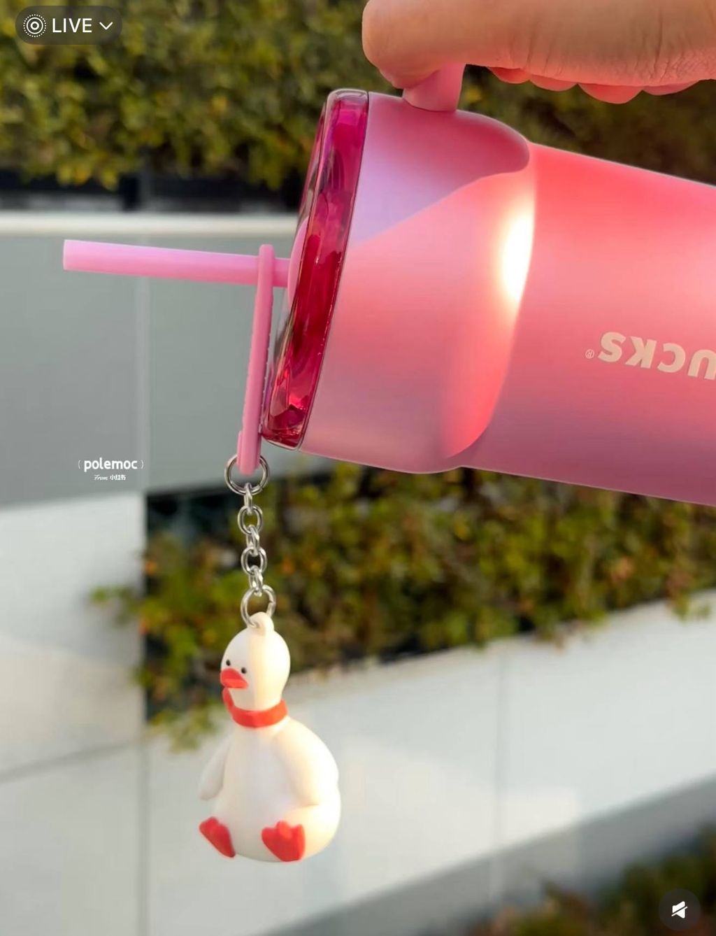 image_FABCEE33-C4B4-42BA-AD95-915F3C204C29_1767589304