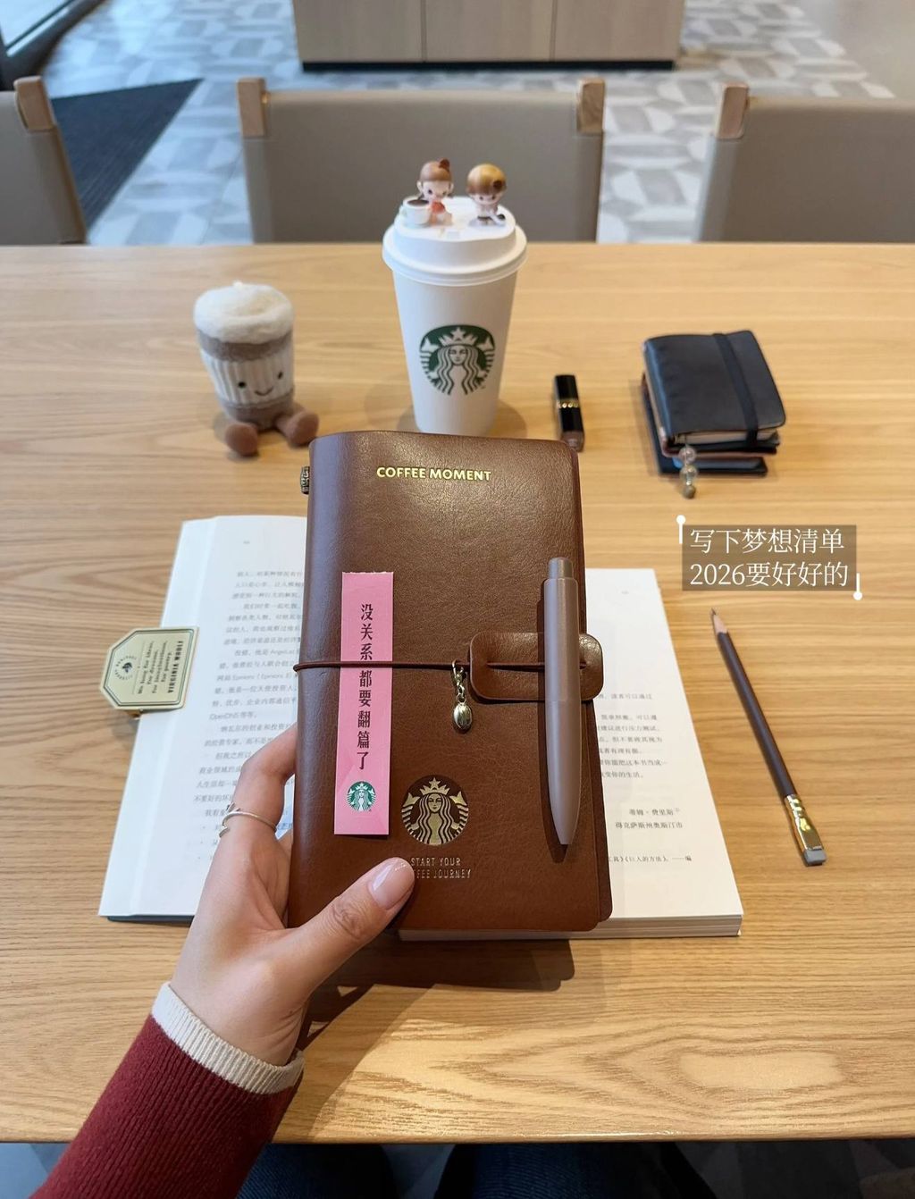 image_68ECC51B-4064-4DE9-A38A-1FDED307A11C_1767589989