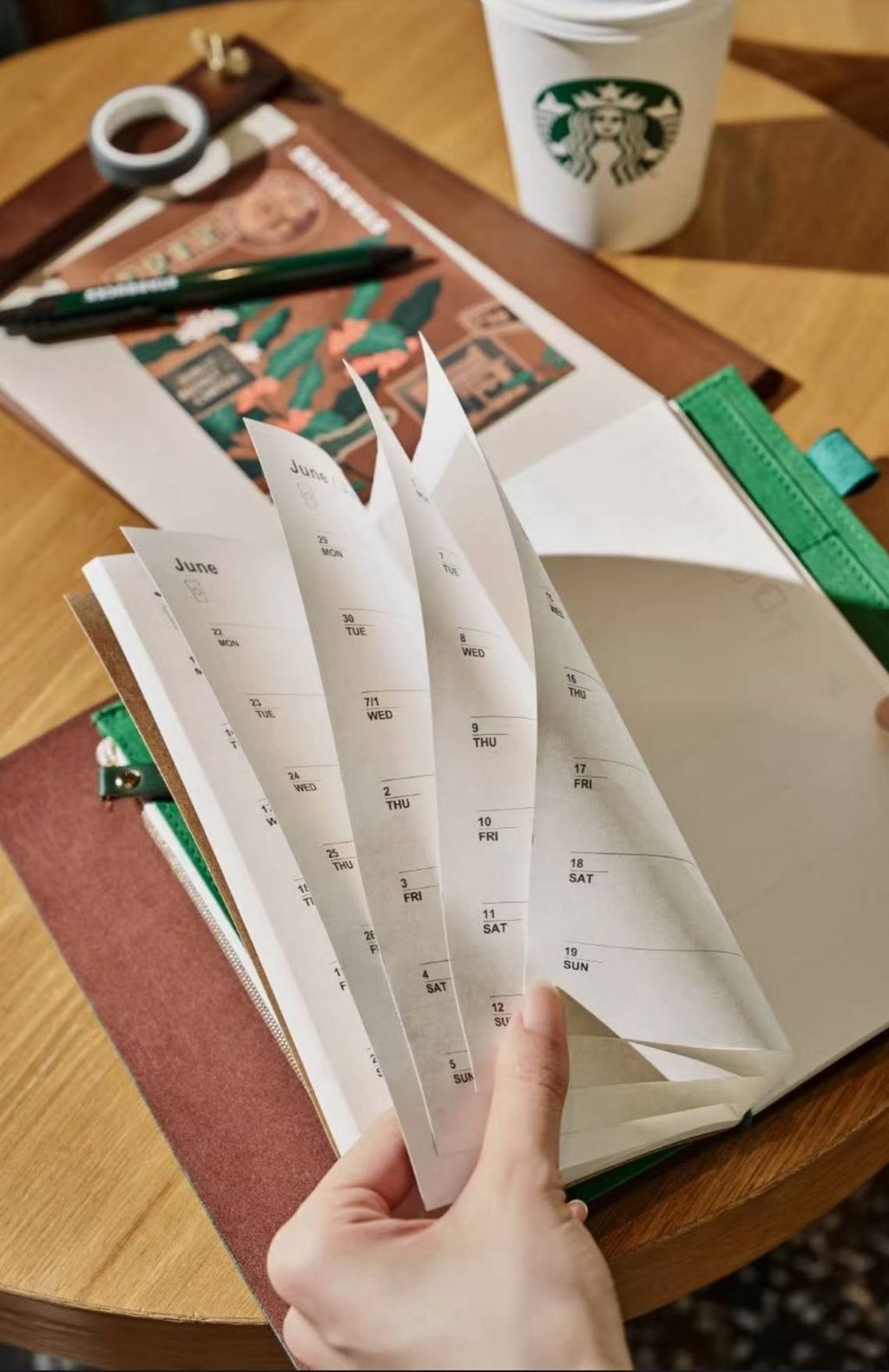 image_535A023E-5D91-4A54-99FD-E8381A1FE32E_1767589989