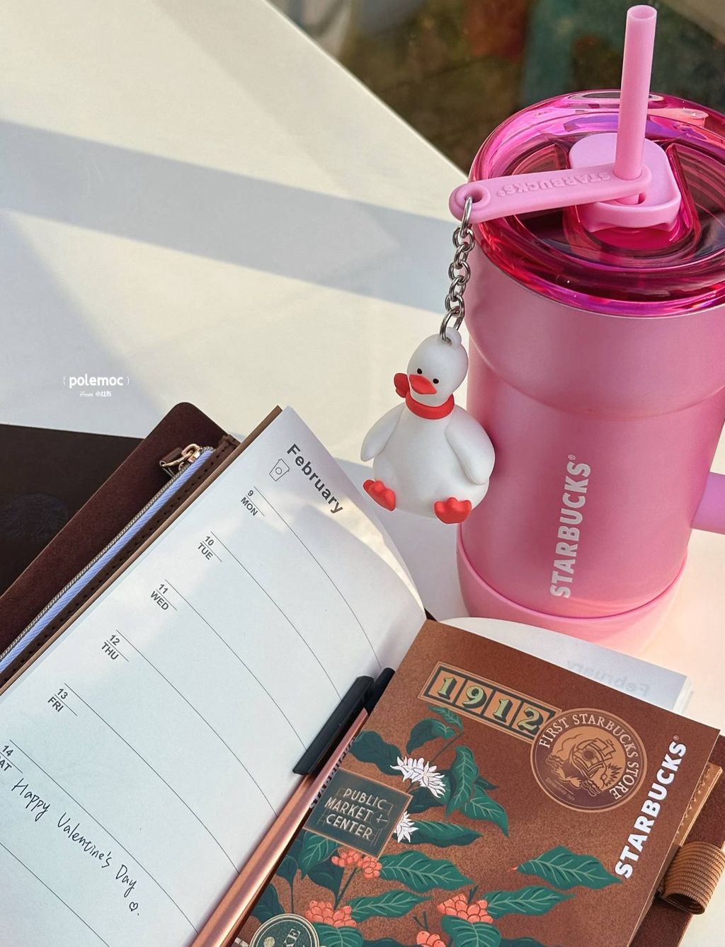 image_C9506D91-E2E2-4159-BE2E-2D2626E6FFFD_1767589989