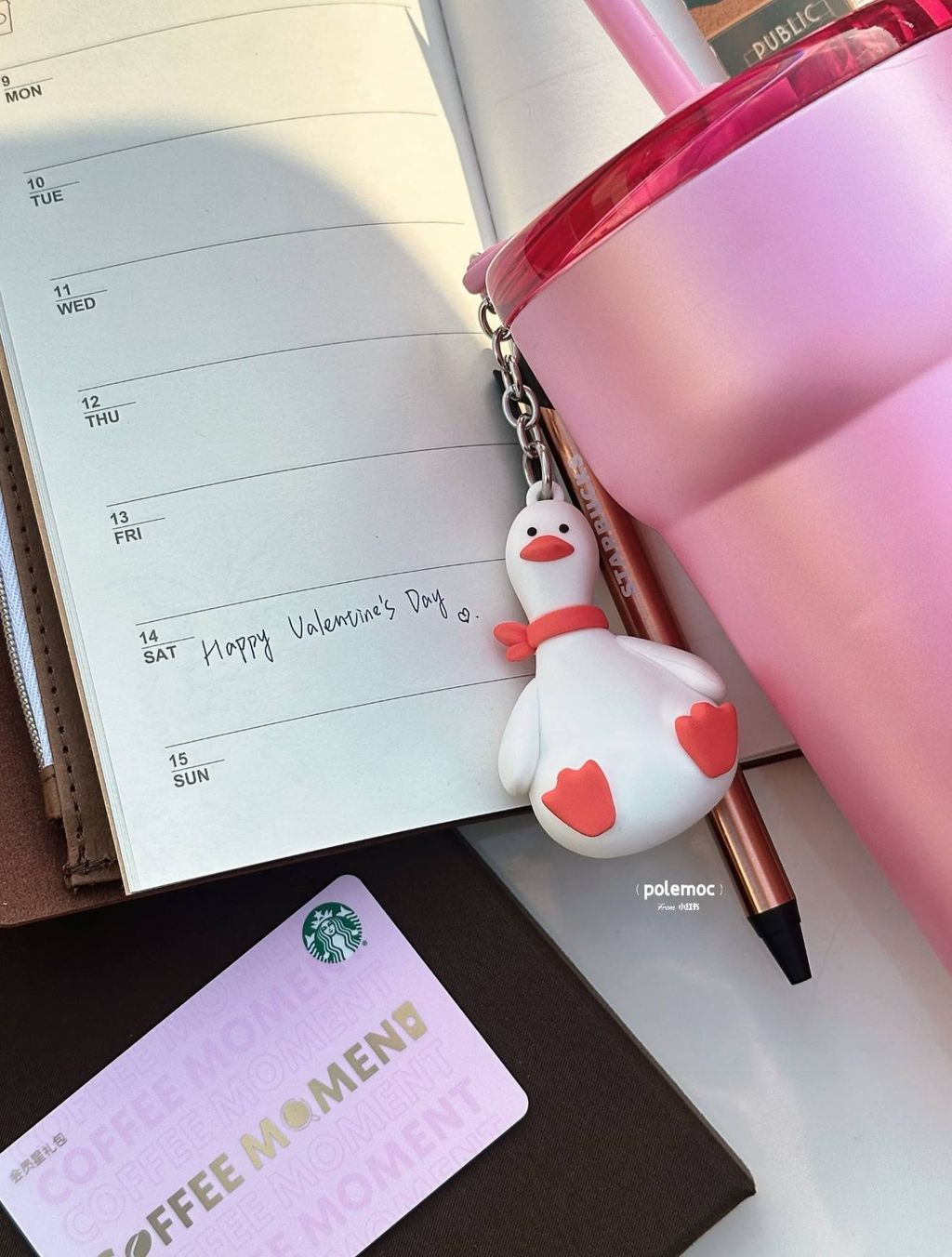 image_B675A4E7-05BB-4193-948F-516DFD574099_1767589989