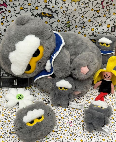 image_797B668E-2A78-4DEB-8590-6451993DDEDA_1767971644