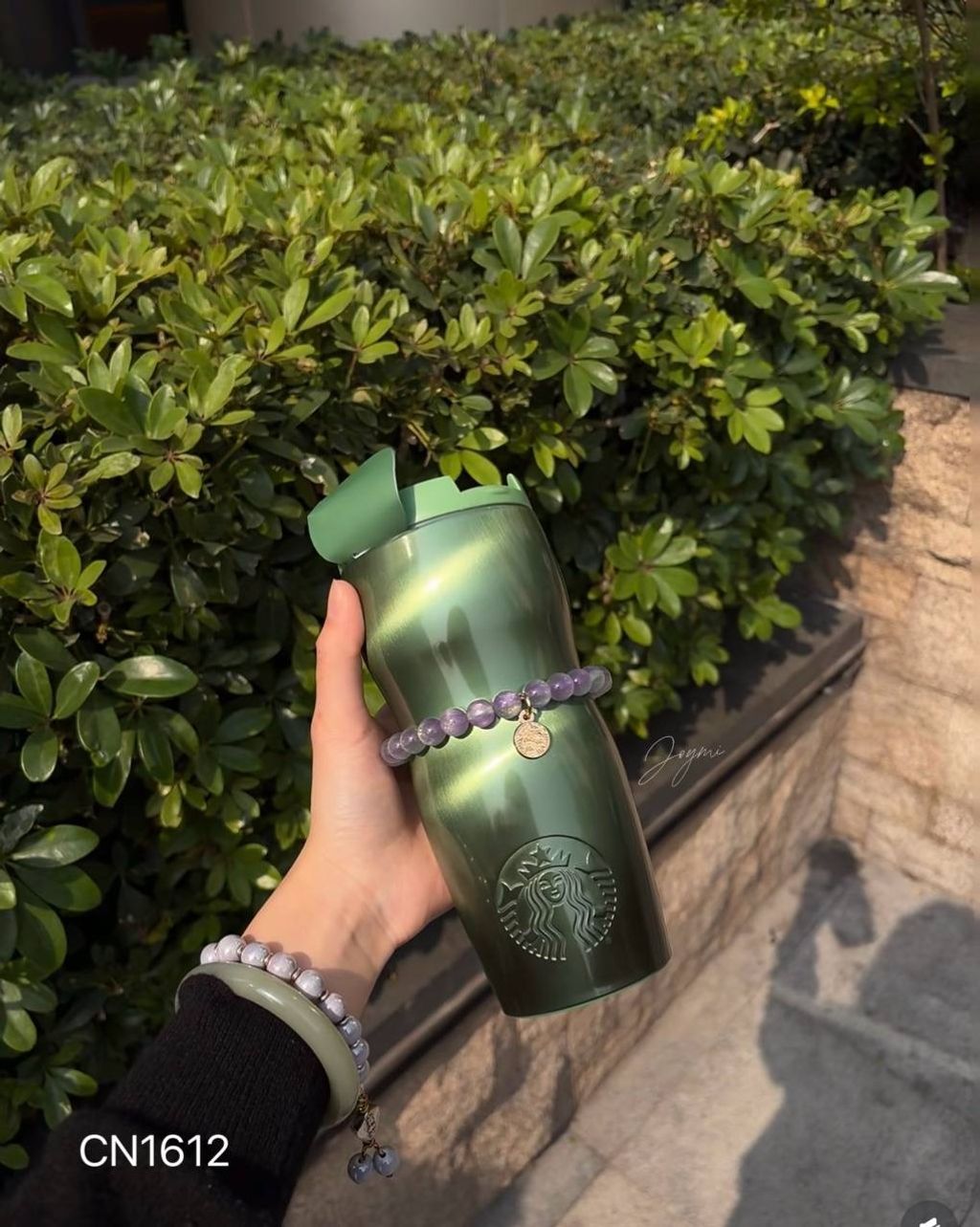 image_7AFEE771-B8B9-4D65-8716-FDDBDF755119_1769858453