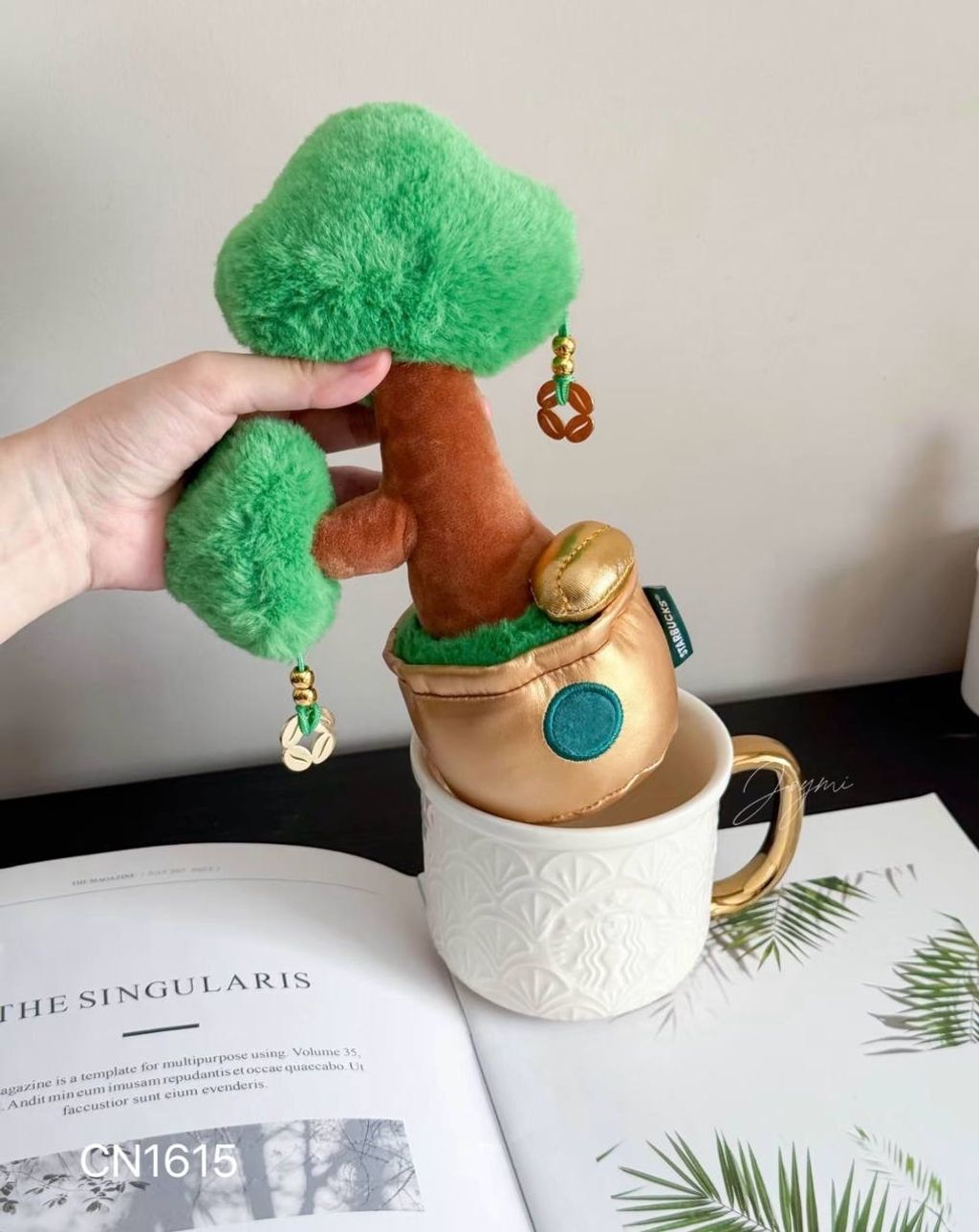 image_DCB088E5-2353-4229-BE38-FFA35589FBA6_1769858651