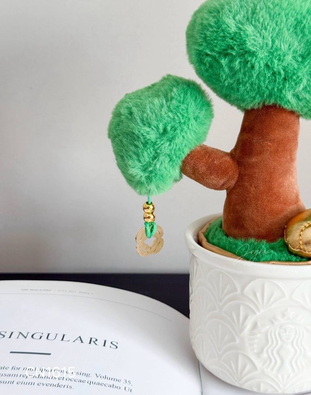 image_AE0B0376-031B-4FB5-AB8E-4FDF94CA1C6A_1769858651