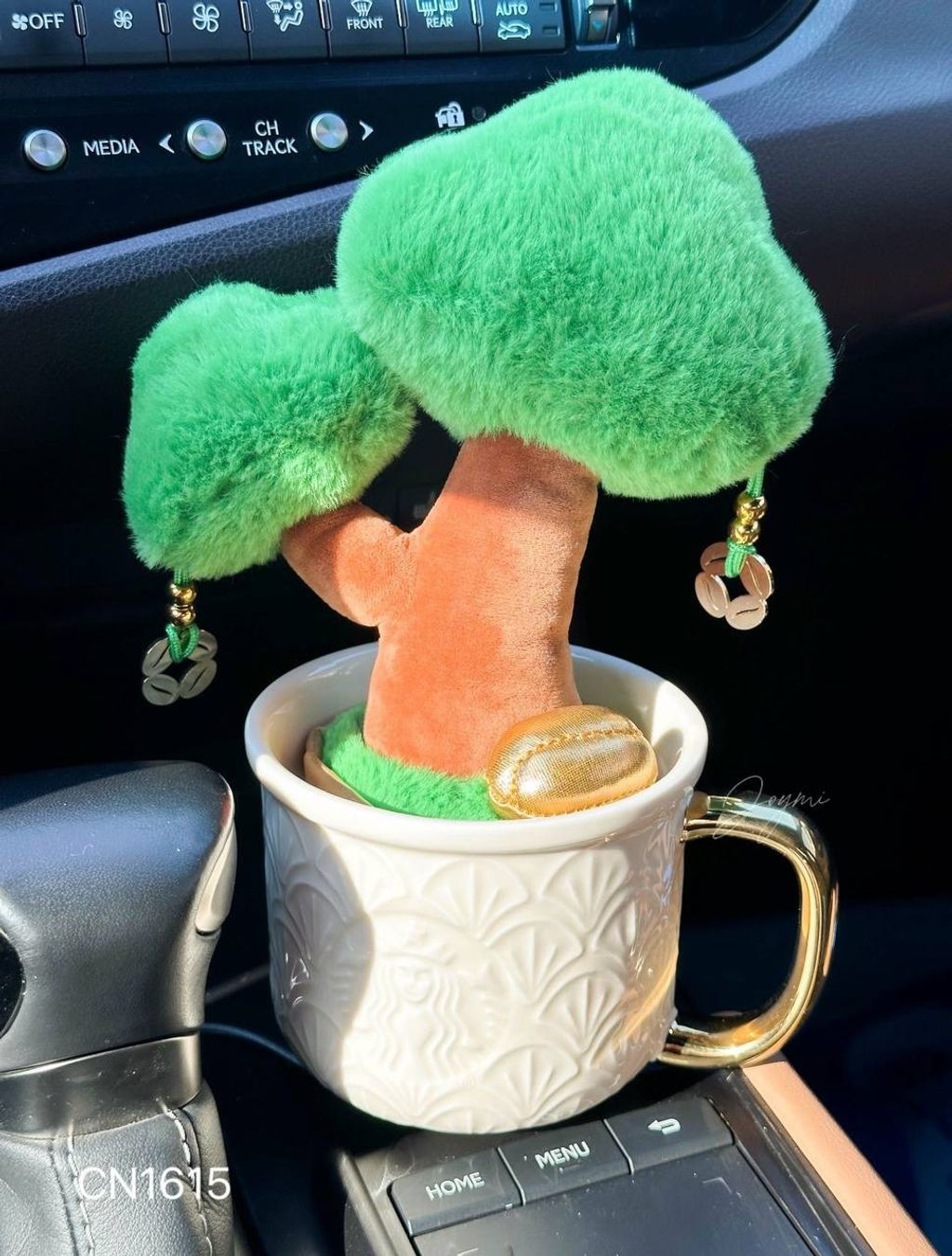 image_D508D997-BB9E-40E1-BFFB-915A38427DC7_1769858651