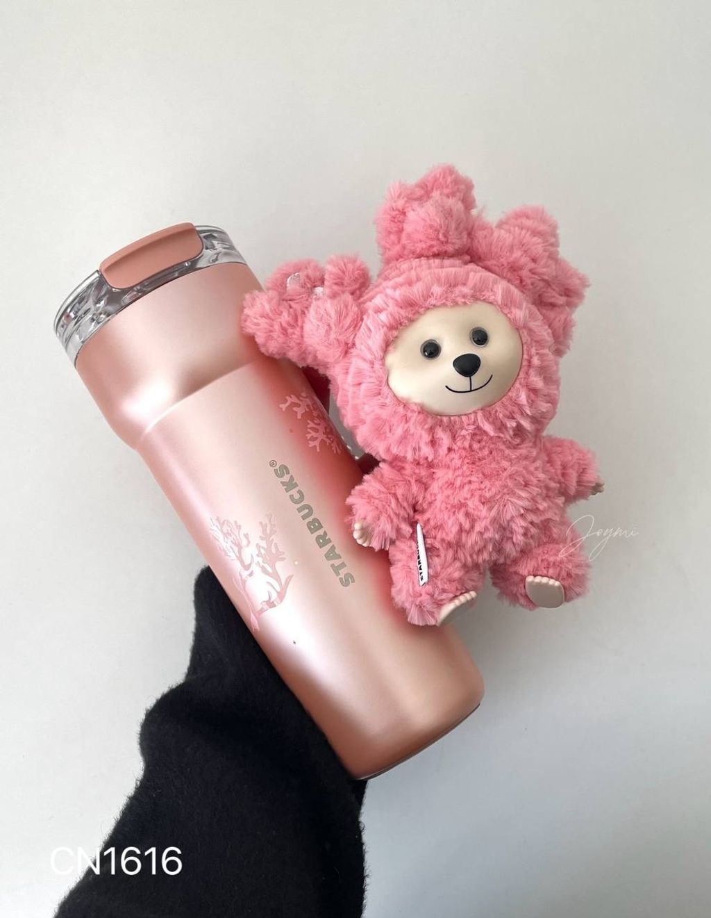 image_5F8E67A7-7ABB-43ED-857E-0C6F4B9B5C26_1769858706